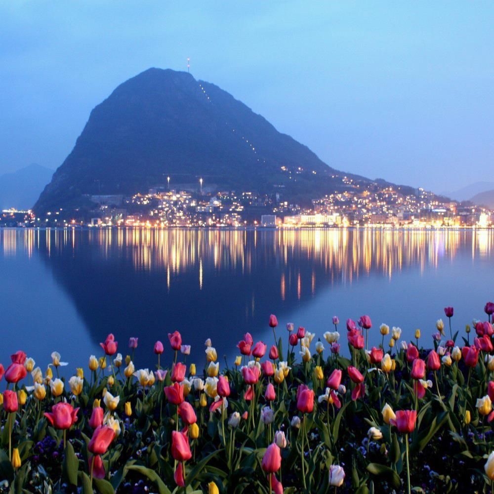 341 Lugano